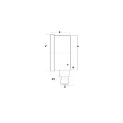 Manometro Inox 1600 Bar diametro dn 100mm radiale