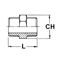 Nipplo inox  aisi 316 1"Gas