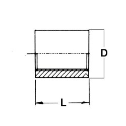 Manicotto inox  aisi 316 3/8"Gas