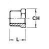 Riduzione inox maschio/femmina 1/2"M x 1/4"F Gas