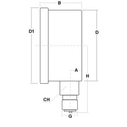 Manometro Inox 250 Bar  dn 150mm radiale 1/2"NPT